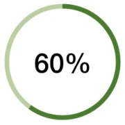 60%