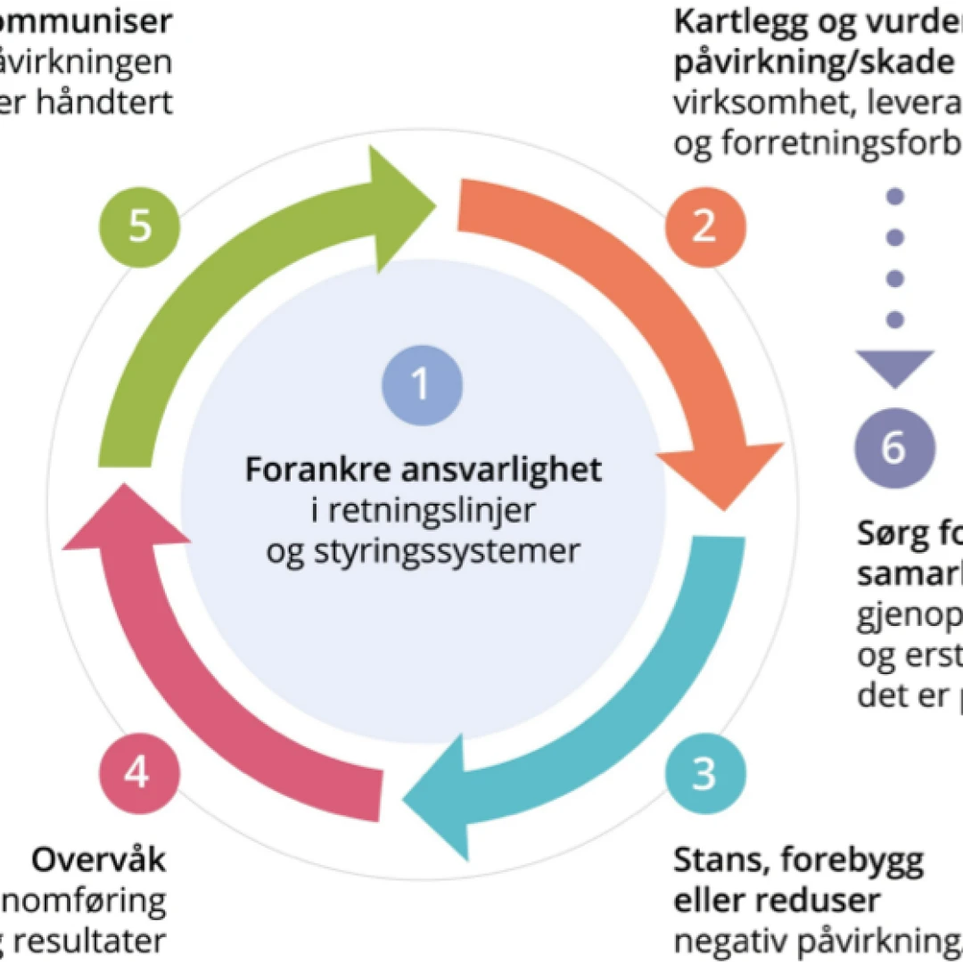 OECD sin modell for aktsomhetsvurderinger. 1) Forankre ansvarlighet, 2) Kartlegg og vurder negativ påvirkning/skade, 3)Stans, forebygg eller reduser, 4) Overvåk, 5) Kommuniser, 6) Sørg for, eller samarbeid om gjenoppretting og erstatning.